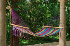 Queen Colorina Fringeless Hammock - JUST Hammocks
