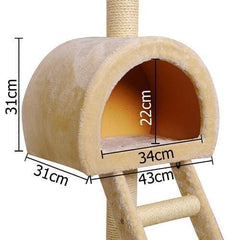 i.Pet 100cm Multi Level Cat Scratching Post - Beige - JUST Hammocks